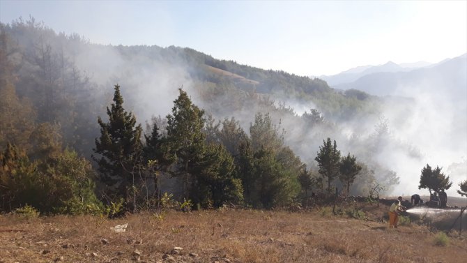 GÜNCELLEME - Adana'da orman yangını