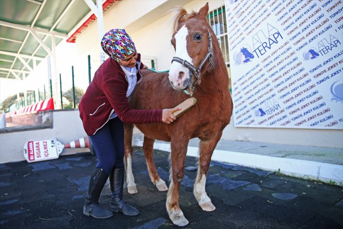 Kadın seyis, atları çocuklarından ayırt etmiyor