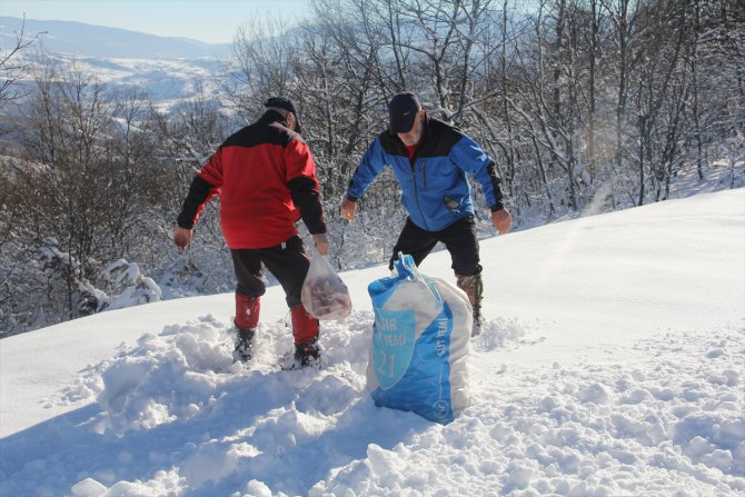 Sokak hayvanları için yıllardır ekmek topluyorlar