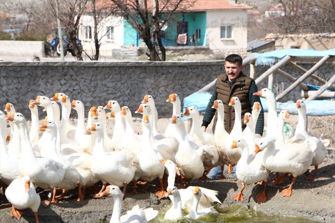 Köyde 7 kazla üretime başlayıp ihracatçı oldu