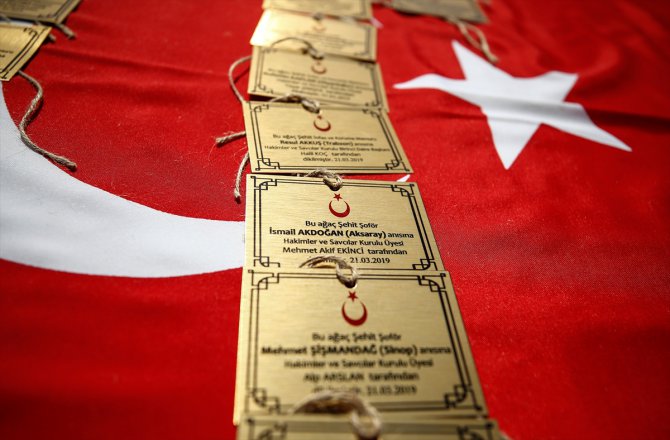 45 bin hükümlü 1 milyon fidanı toprakla buluşturdu