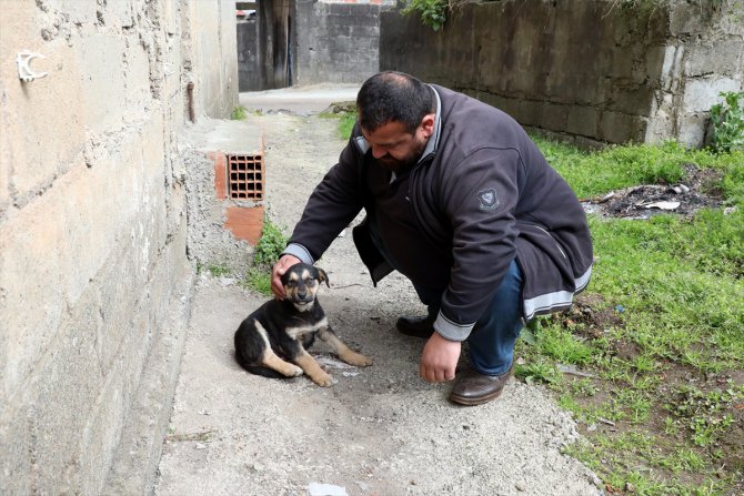 Köpeği suni solunumla hayata döndürmenin mutluluğunu yaşıyor