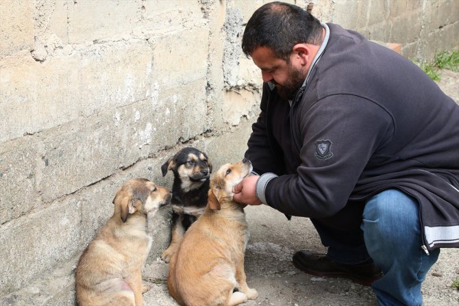 Köpeği suni solunumla hayata döndürmenin mutluluğunu yaşıyor