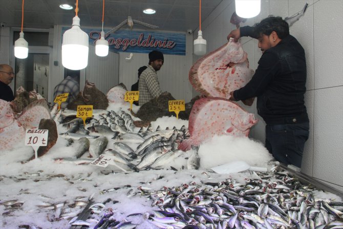 Kalkan bolluğu balıkçının yüzünü güldürdü