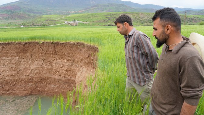 Siirt'te buğday tarlasında 40 metre çapında obruk oluştu