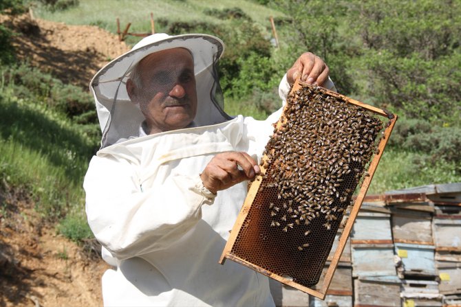 Şemdinli balında üretim zamanı