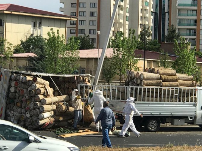 Diyarbakır'da arı kovanı yüklü kamyonet devrildi: 2 yaralı