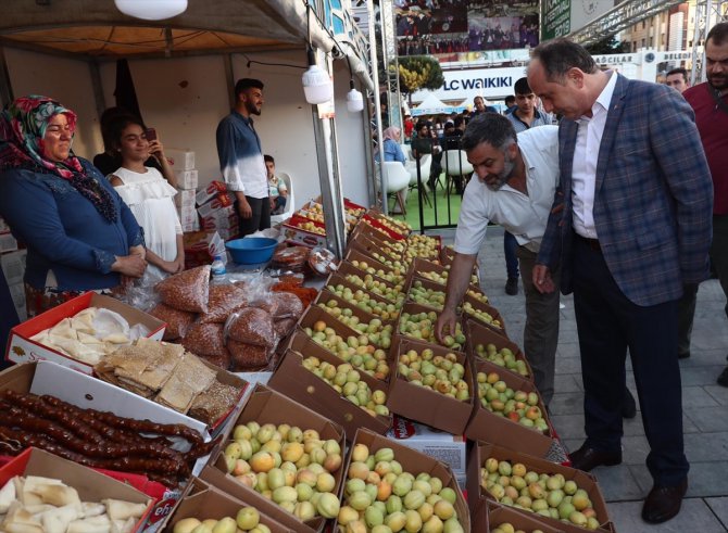 "1. Malatya Kayısı Festivali" başladı