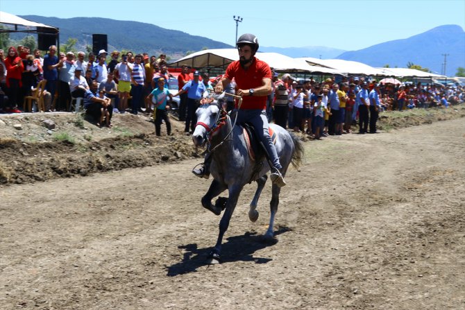 5. Düziçi Belediyesi Rahvan At Yarışları