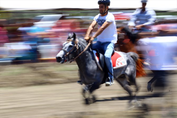 5. Düziçi Belediyesi Rahvan At Yarışları