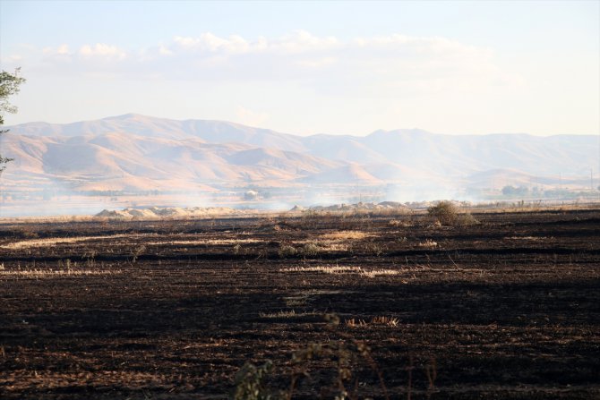 Elazığ'da bin 500 dönümlük alanda anız yangını