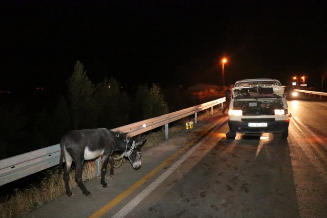 Başıboş eşek kazaya neden oldu: 8 yaralı