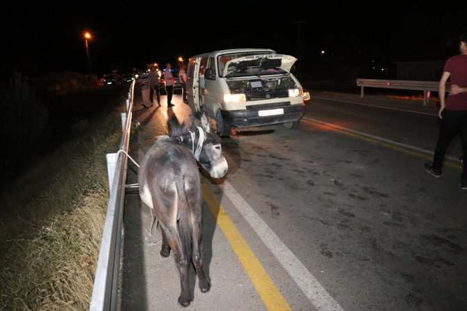 Başıboş eşek kazaya neden oldu: 8 yaralı