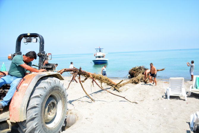 Akçakoca'da selde denize sürüklenen ağaç parçaları temizleniyor