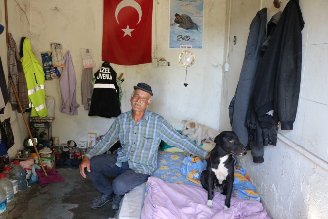 Hayatın zorluğunu 40 köpekle paylaşıyor