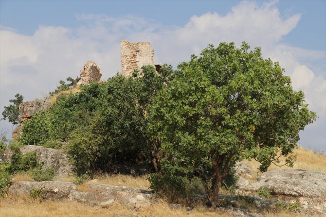 Botan Vadisi'nin milli park olması