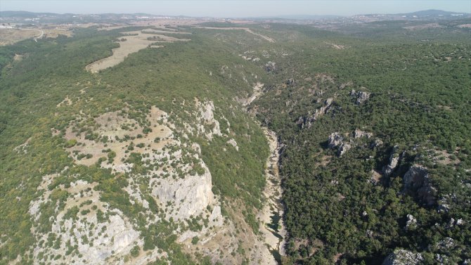 Ballıkayalar'da doğal yaşam canlanacak