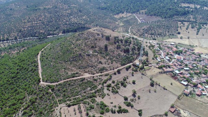 Adramytteion Antik Kenti'nde "ilk tarım" izleri