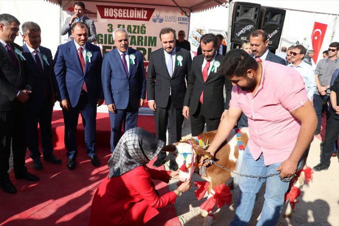 Elazığ 3. Gıda, Tarım ve Hayvancılık Fuarı açıldı