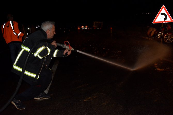 Şanlıurfa'da otomobil koyun sürüsüne çarptı