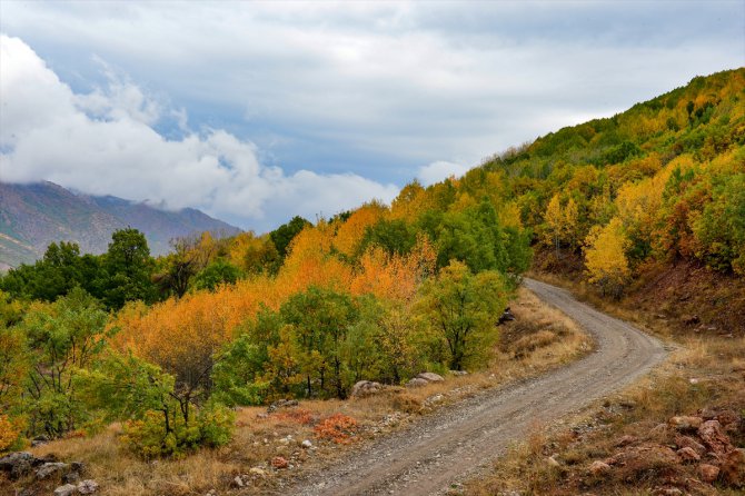 Tunceli ormanları sonbahar renkleriyle bir başka güzel