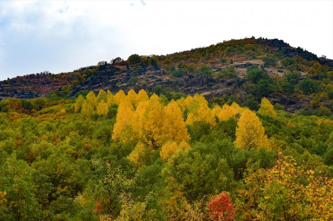 Tunceli ormanları sonbahar renkleriyle bir başka güzel