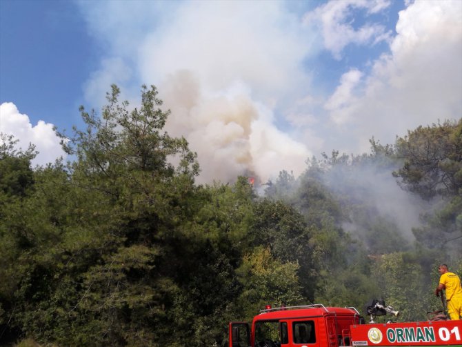 Osmaniye'de orman yangını