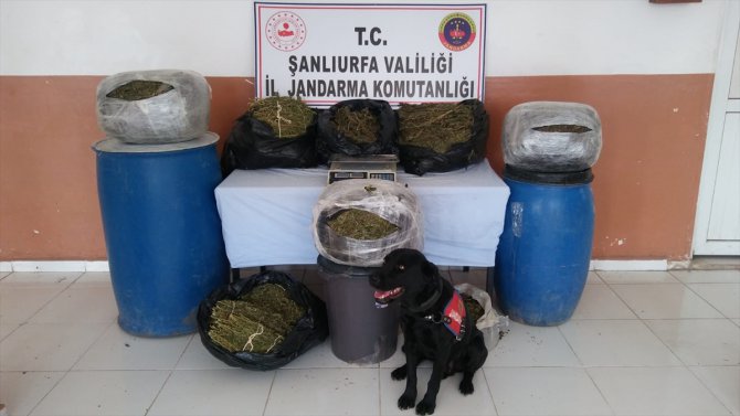 Şanlıurfa'da 105 kilo 500 gram esrar ele geçirildi