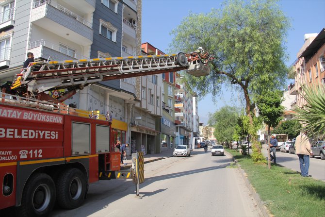 Ağaçta 2 gün mahsur kalan kedi kurtarıldı