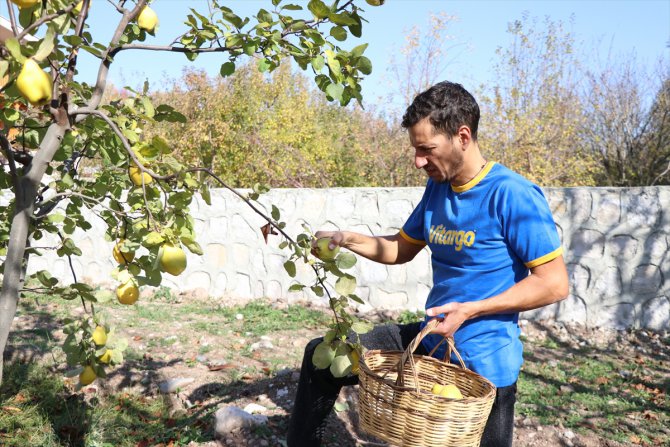 Avrupayı bırakıp köye yerleşti