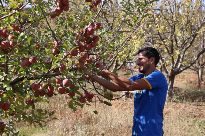 Avrupayı bırakıp köye yerleşti