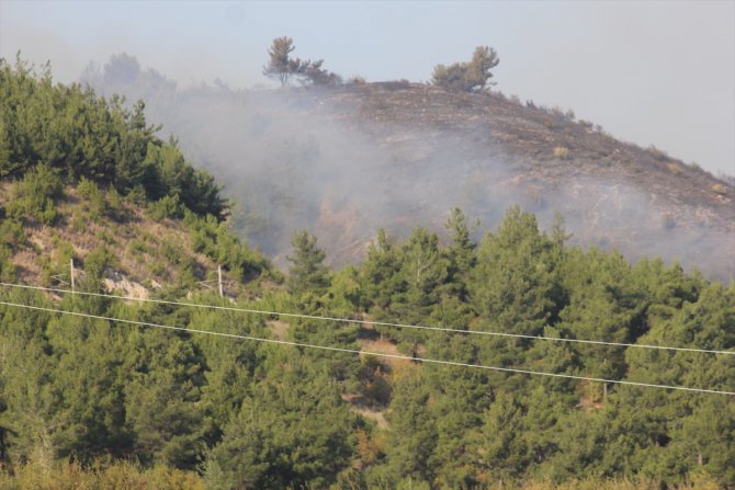 Osmaniye'de orman yangını