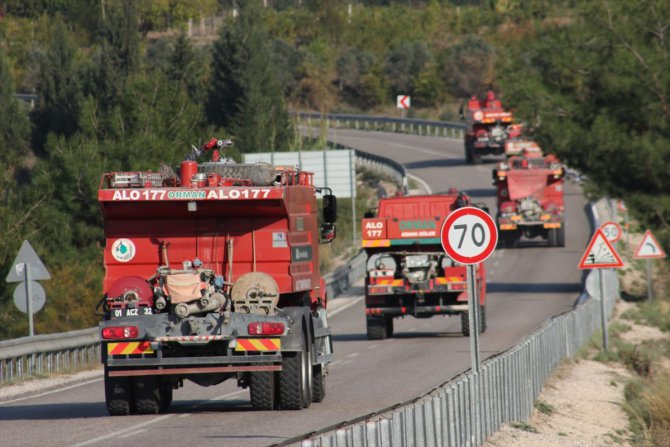 Osmaniye'de orman yangını