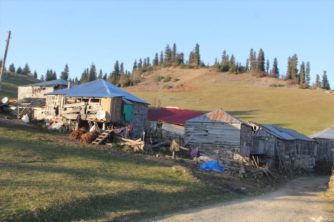 Giresun'daki Gölyanı Obası için "tabiat parkı" talebi