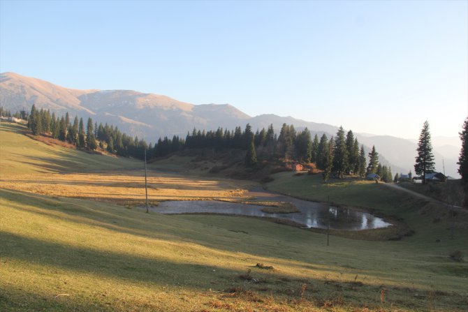 Giresun'daki Gölyanı Obası için "tabiat parkı" talebi