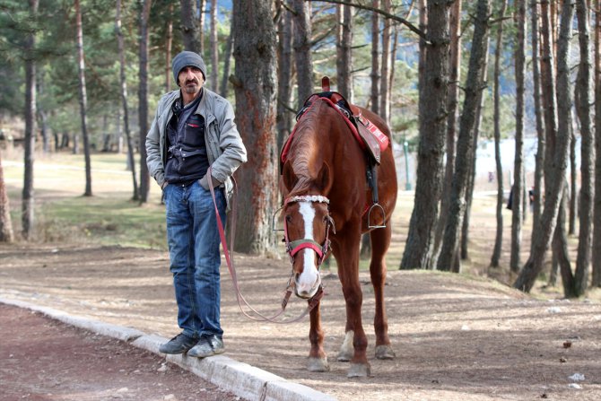 Bolu'da 8 atın karantinaya alınması