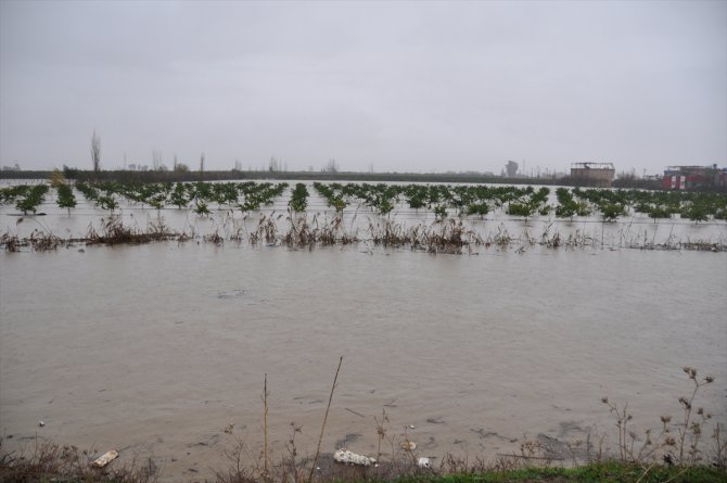 Adana'da tarım arazileri yağmur sularının altında kaldı