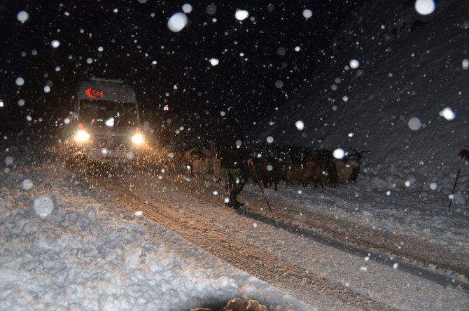 Hakkari'de besiciler kar ve tipiye yakalandı