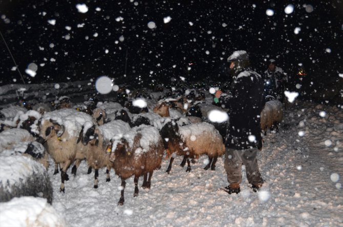 Hakkari'de besiciler kar ve tipiye yakalandı