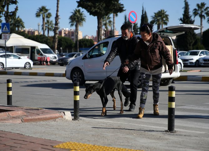 Bakan Pakdemirli'nin sahip çıktığı köpek "Bobo" tedavisi için İstanbul'a gönderildi