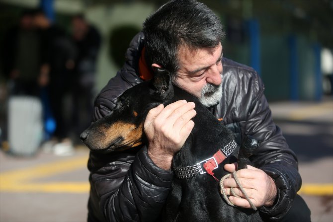 Bakan Pakdemirli'nin sahip çıktığı köpek "Bobo" tedavisi için İstanbul'a gönderildi