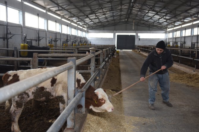 Amasya'daki Besi OSB gübreden elektrik üreterek ekonomiye de katkı sağlıyor