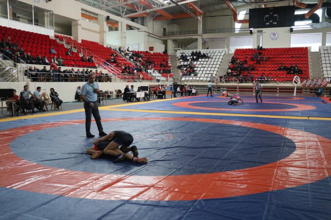 Yıldızlar Türkiye Serbest Güreş Grup Müsabakaları, Erzincan'da başladı