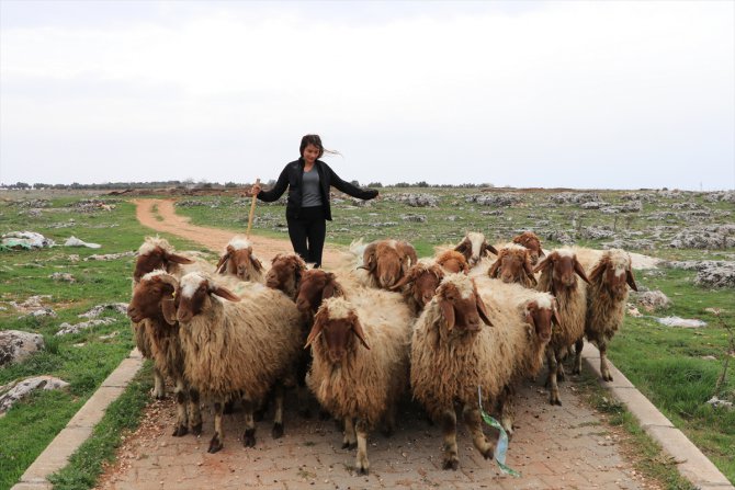 Liseli kızın üniversite hayali, ailesine hibe edilen hayvanlarla "yeşerdi"