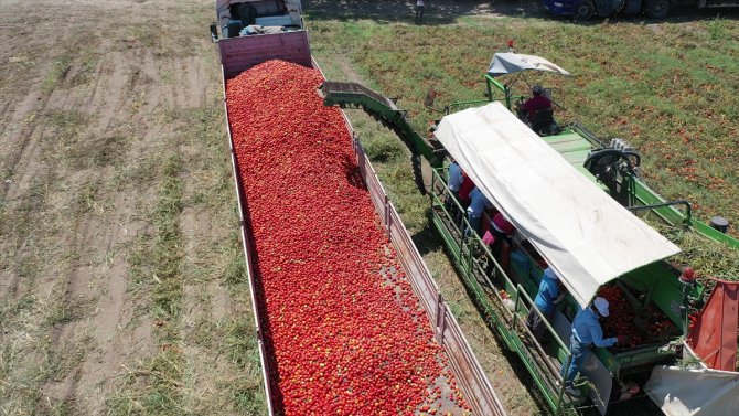 Sanayiciler, salça ve konservede tarımsal üretimin aksamaması için gerekli adımları atıyor