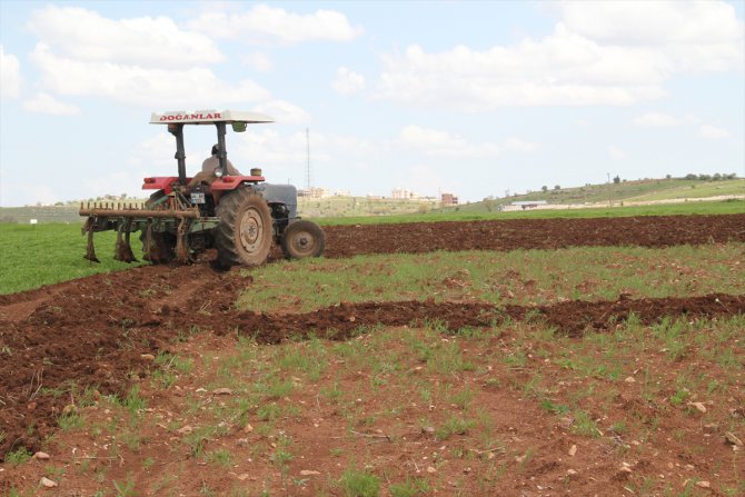 Midyat'ta çiftçiler üretime devam ediyor