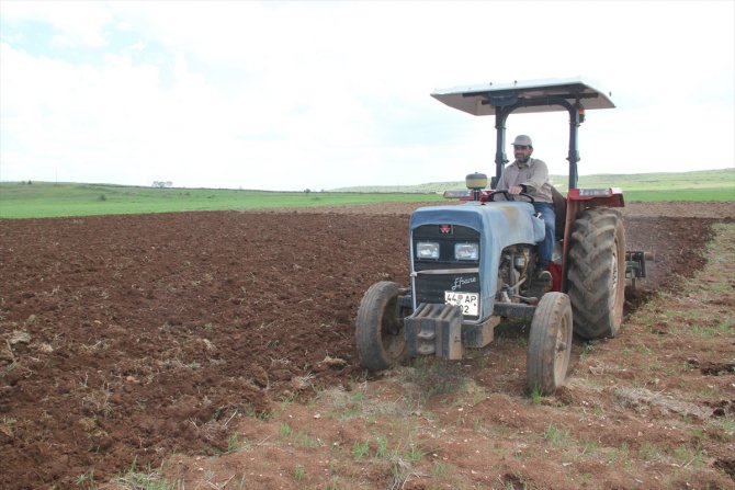 Midyat'ta çiftçiler üretime devam ediyor