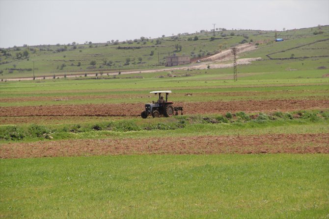 Midyat'ta çiftçiler üretime devam ediyor