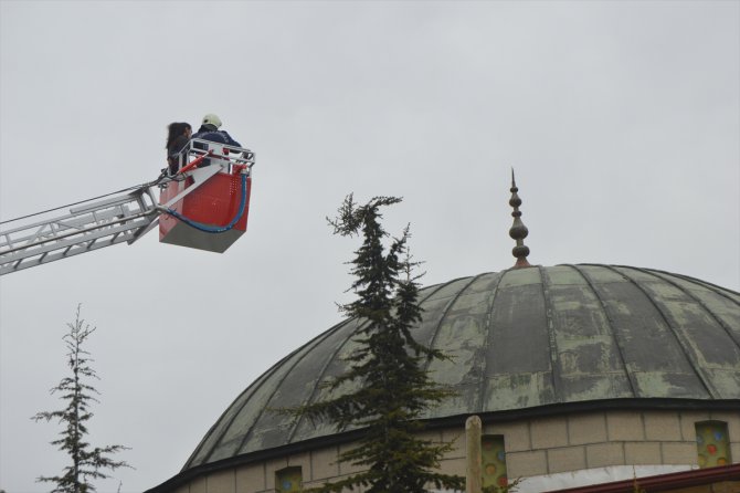 Yuvasız kalan leylek için seferber oldular