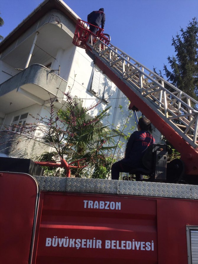 Trabzon'da karga ve kedi mahsur kaldıkları yerlerden itfaiye ekiplerince kurtarıldı